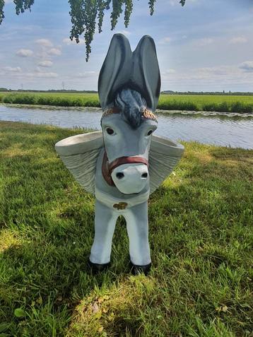 Ezel Met Bloembakjes beschikbaar voor biedingen