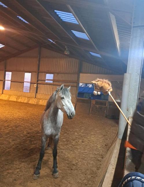 Bijrijpaardje luna, Dieren en Toebehoren, Paarden en Pony's | Verzorgingsproducten, Zo goed als nieuw, Ophalen of Verzenden