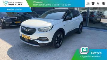 Opel Grandland X 1.2 Turbo Business Executive beschikbaar voor biedingen
