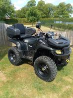 Suzuki Kingquad 700 2007 L7E