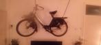 SOLEX VELOSOLEX 3800, Ophalen, Gebruikt, Maximaal 25 km/u