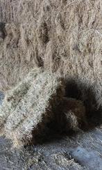 Hooipakjes, Dieren en Toebehoren, Ophalen, Vee