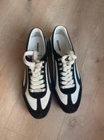 Dsquared2 sneakers, Kleding | Heren, Schoenen, Zwart, Nieuw, Ophalen of Verzenden, Sneakers of Gympen