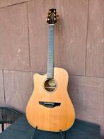 Takamine EN10C-LH inclusief koffer (lefty), Muziek en Instrumenten, Ophalen, Zo goed als nieuw, Western- of Steelstringgitaar