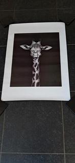 Stevige Giraffe Poster:, Ophalen of Verzenden, Zo goed als nieuw
