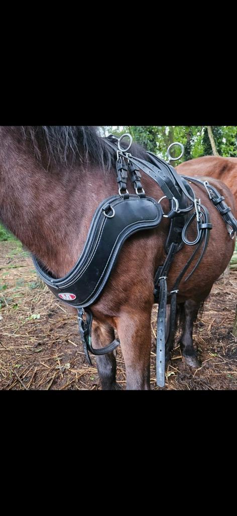 Zilco shetlander, Dieren en Toebehoren, Paarden en Pony's | Hoofdstellen en Tuigage, Gebruikt, Overige soorten, Ophalen of Verzenden