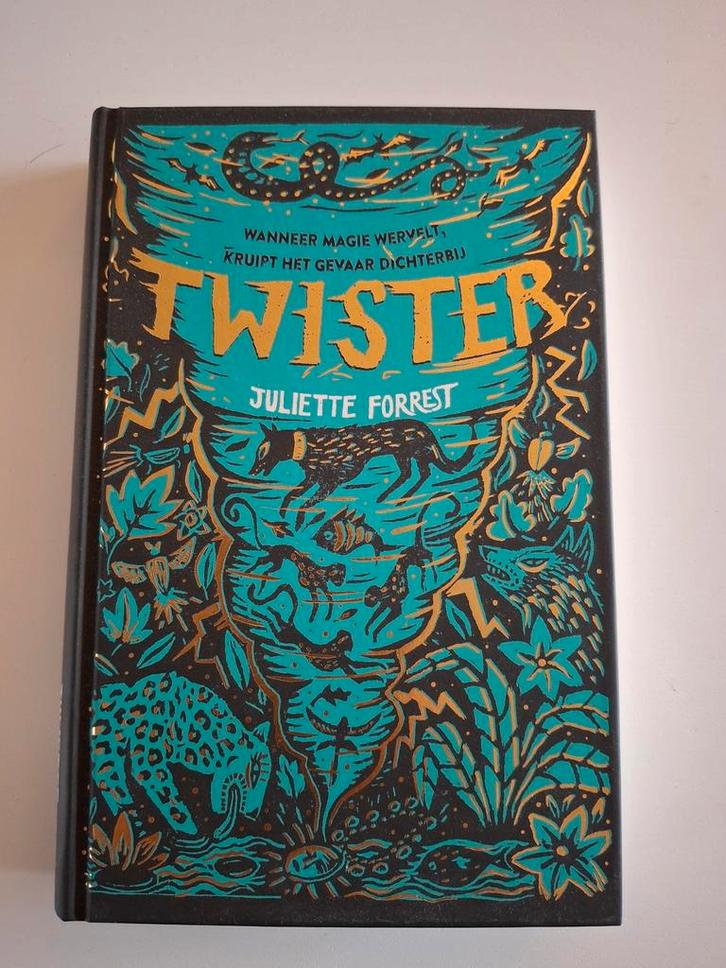 Twister - Juliette Forrest - Spannend Jeugdboek, Boeken, Kinderboeken | Jeugd | onder 10 jaar, Zo goed als nieuw, Fictie algemeen