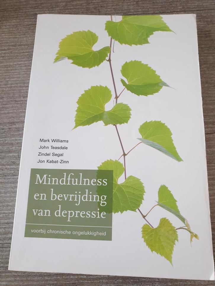 Mindfulness en bevrijding van depressie, Boeken, Overige Boeken, Gelezen, Ophalen of Verzenden