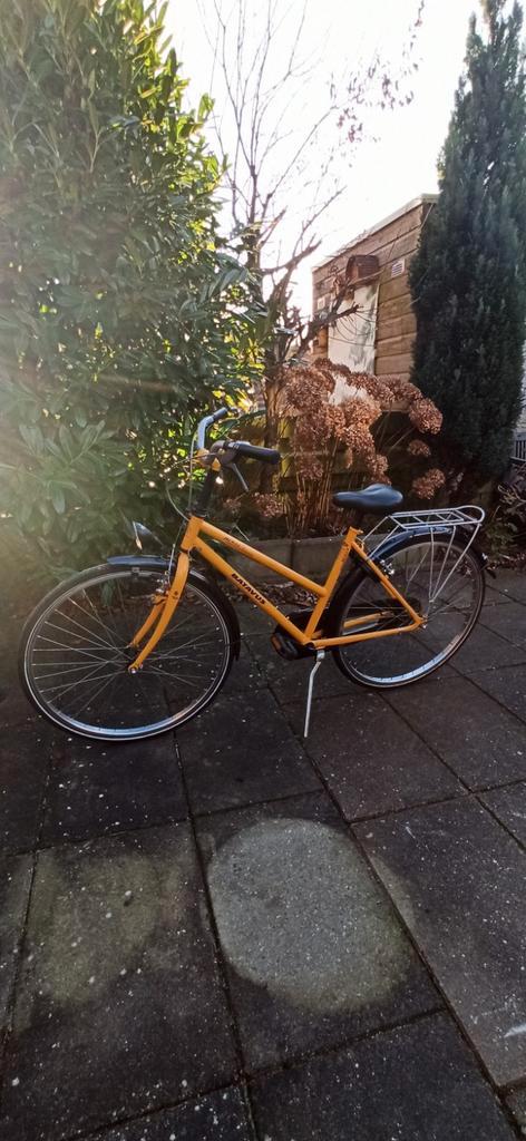 Batavus Beagle, 26 inch, retro, Fietsen en Brommers, Fietsen | Meisjes, Gebruikt, 26 inch of meer, Handrem, Ophalen