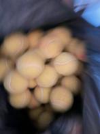 100 gebruikte tennisballen, Overige merken, Gebruikt, Ballen, L00