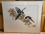 Schilderij/geborduurde vogels  79x66 (ingelijst)., Ophalen