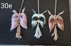 Sowy z makramy./ Macramé uilen./ Macrame owls., Ophalen of Verzenden, Nieuw