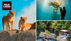 Tickets Wildlands Adventure Zoo Emmen geldig tm 31-10-2025, Tickets en Kaartjes, Drie personen of meer, Ticket of Toegangskaart