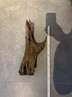 Aquarium hout mangrove, Ophalen of Verzenden, Gebruikt, Plant(en), Steen of Hout