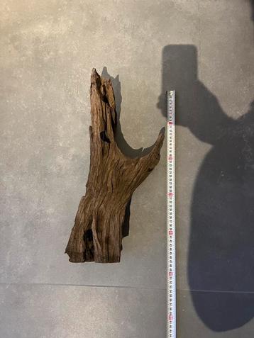 Aquarium hout mangrove beschikbaar voor biedingen