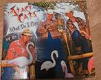 The Stacy Cats - What Do I Care, Ophalen of Verzenden, Zo goed als nieuw
