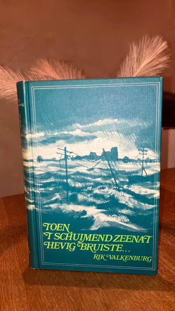 KR-10 Rik Valkenburg. Toen ‘t schuimend zeenat hevig bruiste, Boeken, Geschiedenis | Vaderland, Gelezen, Ophalen of Verzenden