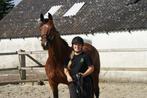 Trailerlaadhulp aangeboden omgeving NB/Utrecht, Dieren en Toebehoren, Stalling en Weidegang, Stalling