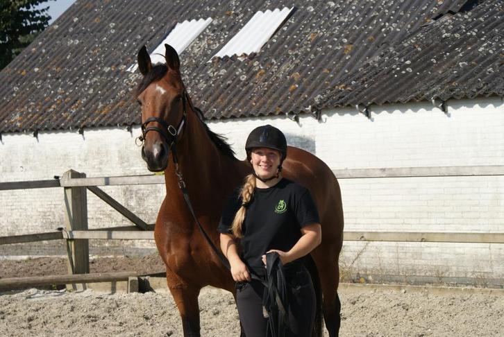Trailerlaadhulp aangeboden omgeving NB/Utrecht, Dieren en Toebehoren, Stalling en Weidegang, Stalling