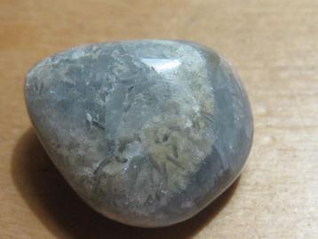 ede. 4x aparte edelsteen COELESTIEN (2) beschikbaar voor biedingen