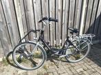 Gazelle Bloom damesfiets, Ophalen, Gebruikt, Versnellingen, 56 cm of meer