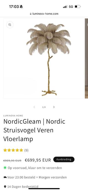 Struisvogellamp 120 cm beschikbaar voor biedingen