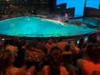 Dolfinarium 1 kaartje, Tickets en Kaartjes