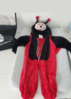 Carnaval lieveheersbeestje kostuum. Baby kind 12-18mnd., Kinderen en Baby's, Carnavalskleding en Verkleedspullen, Ophalen of Verzenden