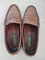 Leren damesschoen, nieuw, van Cavalli, Cavalli, Ophalen of Verzenden, Nieuw, Zwart