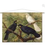 Naturalis Unlimited - Schilderij wanddoek vogels, Ophalen of Verzenden