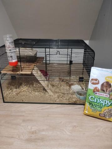 Hamsterkooi met Russische dwerghamster  beschikbaar voor biedingen