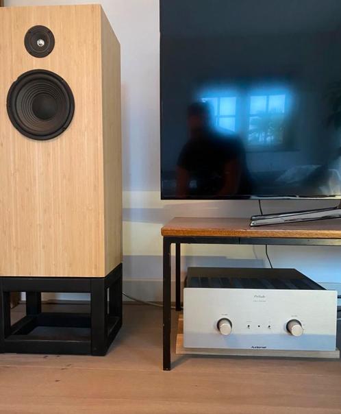 Twenty Fives luidsprekers / Bouwprijs 1.750e, Audio, Tv en Foto, Luidsprekers, Zo goed als nieuw, Front, Rear of Stereo speakers