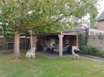 Tuinhuis/ overkapping Douglas ca. 6x4m, Ophalen, Gebruikt, Hout, 200 tot 400 cm