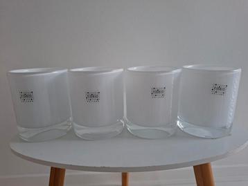 Nieuw
4x
FIDRIO vaas Glass
Cilinder Opal
H 11 cm beschikbaar voor biedingen