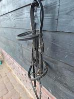 Hoofdstel zgan, martingaal, Mexicaanse neusriem, Dieren en Toebehoren, Paarden en Pony's | Hoofdstellen en Tuigage, Ophalen of Verzenden