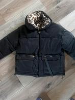 Mooie winterjas maat m, Kleding | Dames, Jassen | Winter, Ophalen of Verzenden, Gedragen, Maat 38/40 (M)