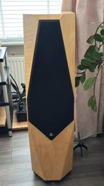 Avalon Eidolon luidsprekers, Ophalen, Gebruikt, Front, Rear of Stereo speakers, Overige merken