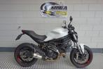 DUCATI MONSTER 797 (bj 2019), 2 cilinders, Motorrijbewijs A, Bedrijf, Meer dan 35 kW