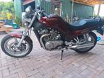 Suzuki VX800, Motoren, Particulier