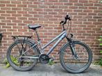 Pegasus 24" meisjefiets., Ophalen, Gebruikt, 24 inch