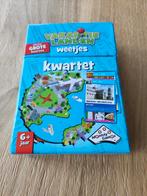 Vakantie landen kwartet - grote kaarten, Ophalen of Verzenden, Zo goed als nieuw, Kwartet(ten)