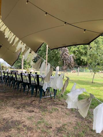 Pakket versiering decoratie groen groen beschikbaar voor biedingen