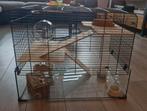 Hamsterkooi, Kooi, Muis, Ophalen, Minder dan 60 cm