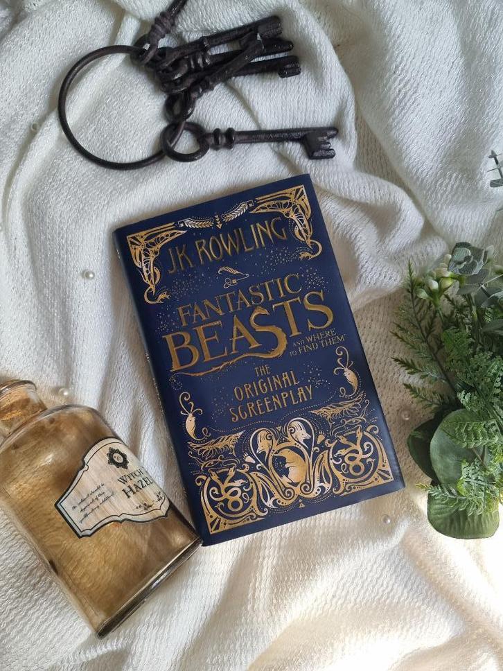 Fantastic Beasts and Where to Find Them: Screenplay, Boeken, Fantasy, Zo goed als nieuw, Verzenden