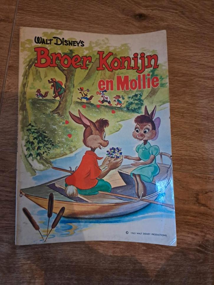 Walt Disney's Broer Konijn en Mollie, Boeken, Kinderboeken | Jeugd | onder 10 jaar, Gelezen, Sprookjes, Ophalen of Verzenden