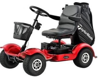 Electrische Mini GolfBuggy met golftashouder beschikbaar voor biedingen