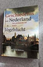 De geschiedenis van Nederland in vogelvlucht Rietbergen, Boeken, Geschiedenis | Vaderland, Ophalen of Verzenden, Zo goed als nieuw