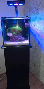 Te koop zeeaquarium nano incl onderkast, filter, verlichting, Dieren en Toebehoren, Vissen | Aquaria en Toebehoren, Ophalen, Gebruikt