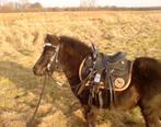 Westernhoofdstel shetlander / westernzadel e.d te koop, Ophalen, Gebruikt, Overige soorten