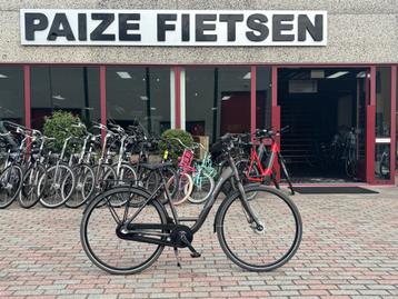 Pegasus Lucca, Frame 51 beschikbaar voor biedingen